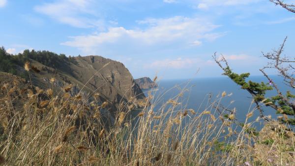 ����������� �������� (5 ���� / 4 ����)