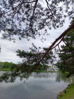 �������� �����������: ������ �������-������-�����-�������� (3 ��� / 2 ����)