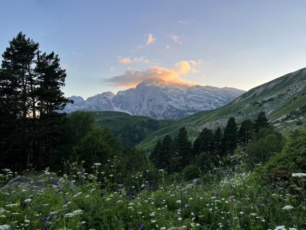 30-�� ����� ���� � ����
