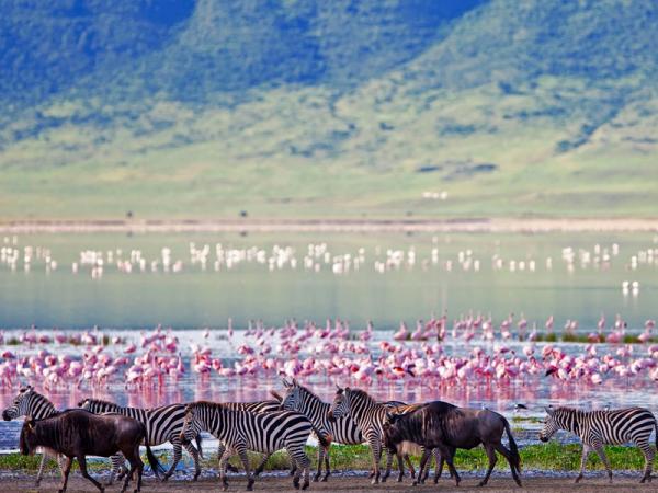 Fly-in Safari