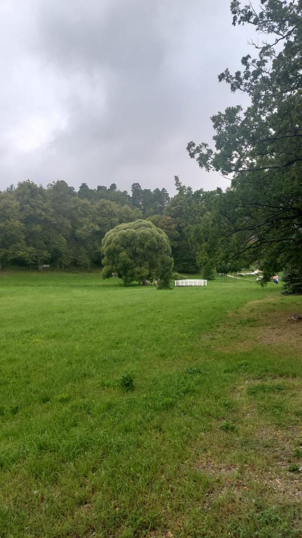 RAVANSAARI - ����������� � ��� ��������
