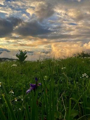 �� ������ �� �������: ������+���������