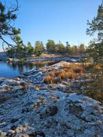Царский Новый год в Карелии