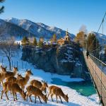 ���������� �� ����� , 4 ��� + ����, ���� - ������