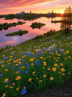 ������ ���������� ��������, 5 ���� + � / �