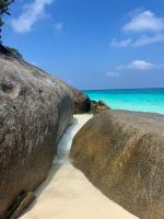 �������. ����� �� ������� �� ����. ��������