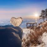 ����� �������, 5 ���� + ���� ��� � / �