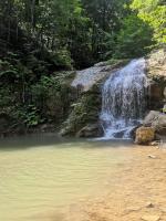 ������. ������ �������