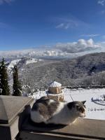 ���� - ��� � ������ �� ������� ��������� (4 ���)