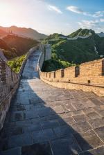 ����� - TYP + ������� (������ ����� �����) , 14 ���� / 13 �����, � / � � ������, ������ - �����