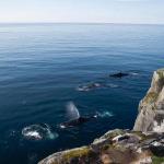 �� ������� ��������� ���� � ������ �����