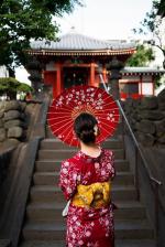 ��������� � ������ ����������������� �����������. ��� �������� ������ 2026.