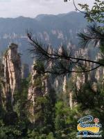 ����� - ����������, ���� ������. ���� � �������! ����� �� � - ����������