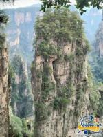 ��� � ����� � ������������� ����� - ������ - ����������, ���� ������. �� ������