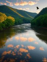 ������������ �� - ���������! 7 ���� + ����