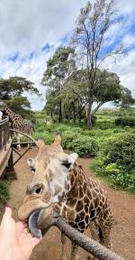 ������������ �������� 6 ���� / 5 ����� + ���� 14.06.2026 - 19.06.2026