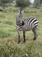 ��������� ������, 9 ���� / 8 �����, 08.08.2026 - 16.08.2026